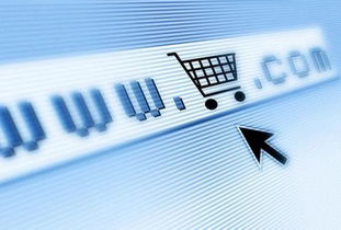 中國電商指數 發布 廣東浙江北京位列前三