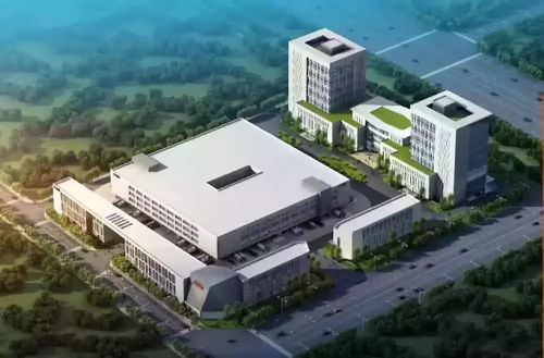 中小徑竹廂板生產線可行性研究報告通過